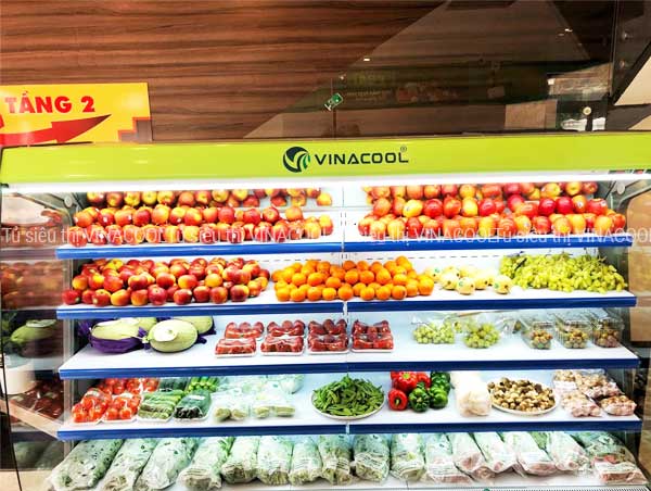 tủ mát siêu thị dài 2m5 cong xanh vinacool